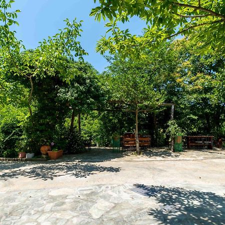 Guesthouse Papachristou Tsagkarada Dış mekan fotoğraf