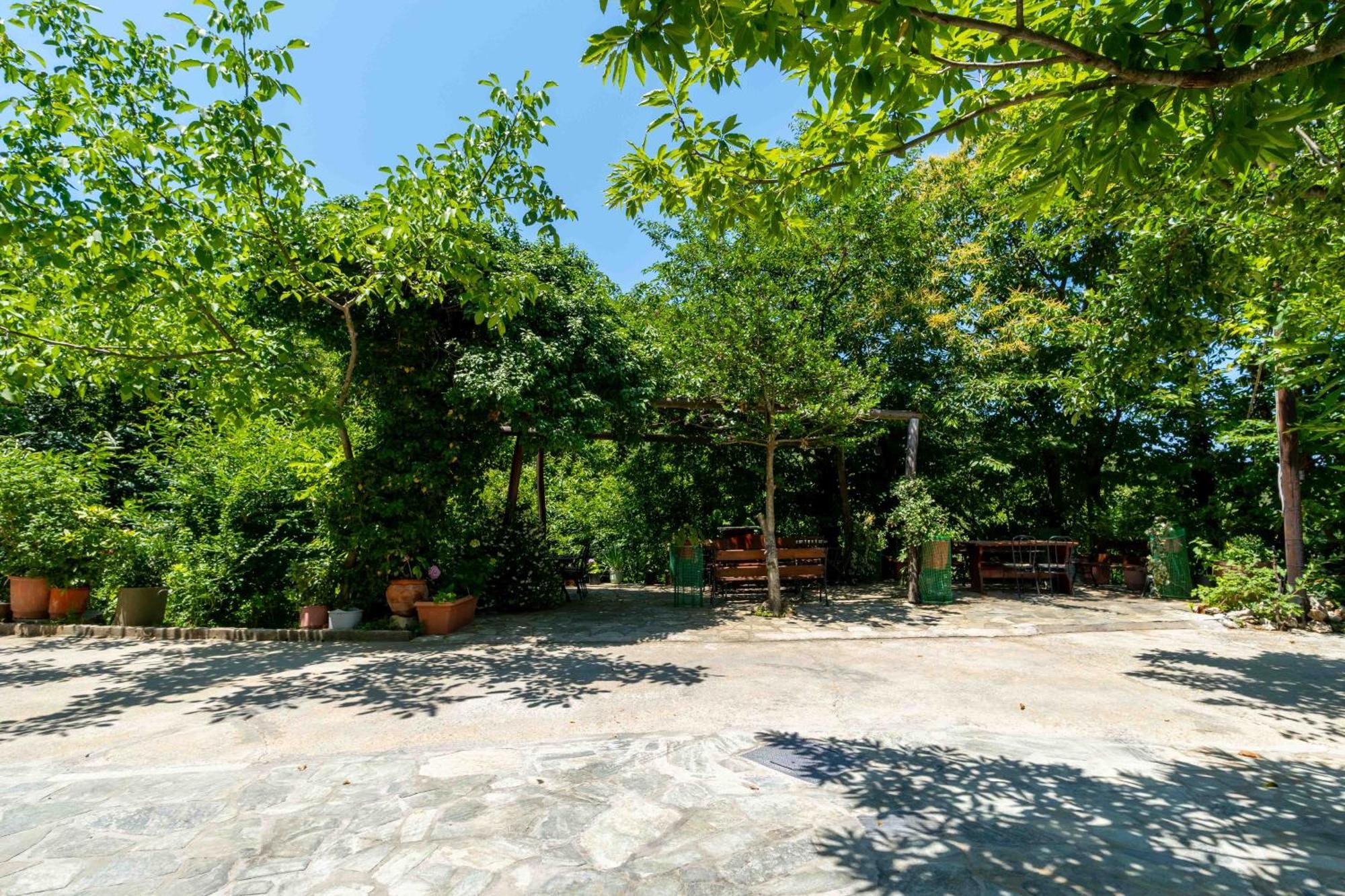 Guesthouse Papachristou Tsagkarada Dış mekan fotoğraf