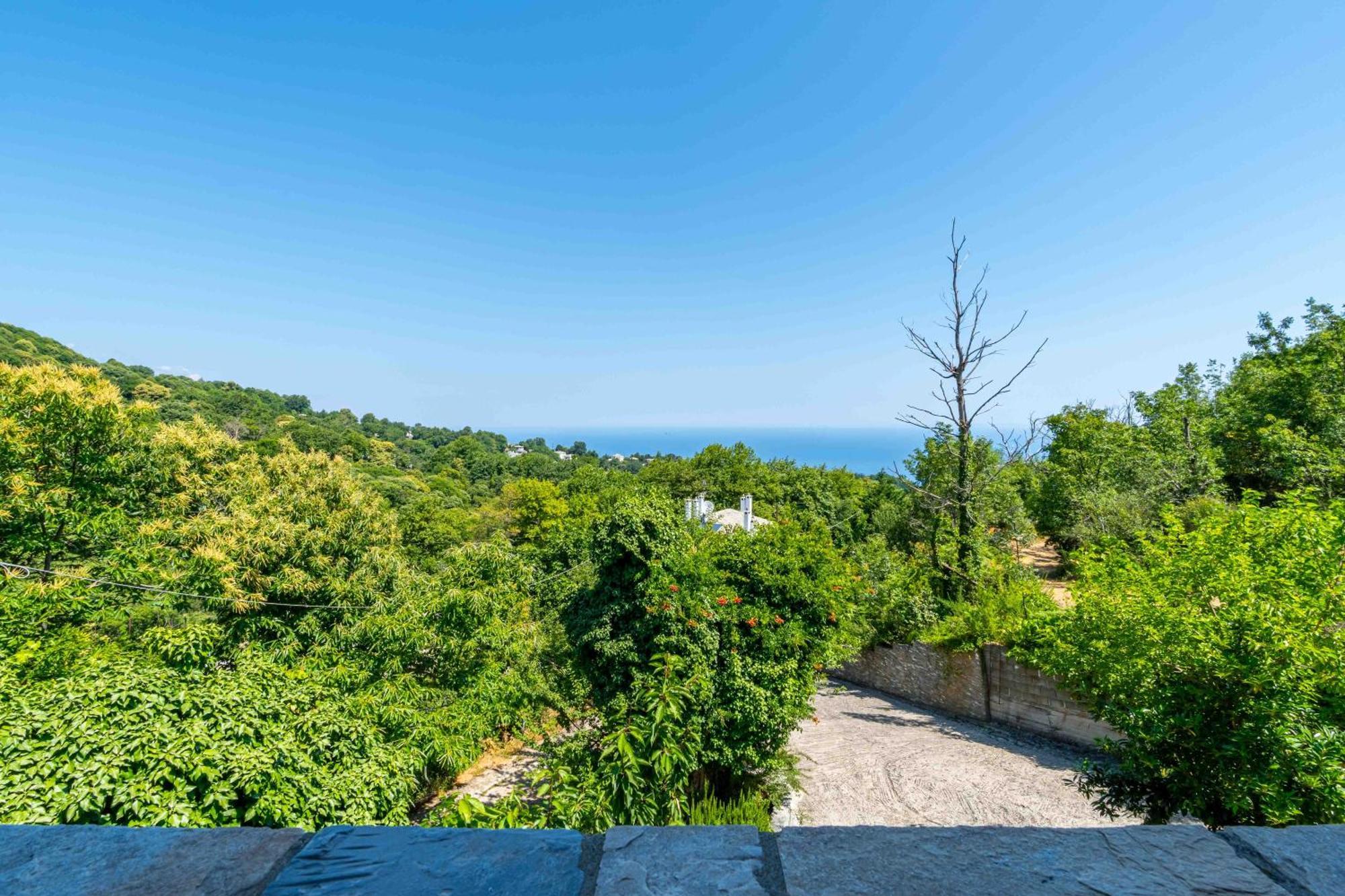 Guesthouse Papachristou Tsagkarada Dış mekan fotoğraf
